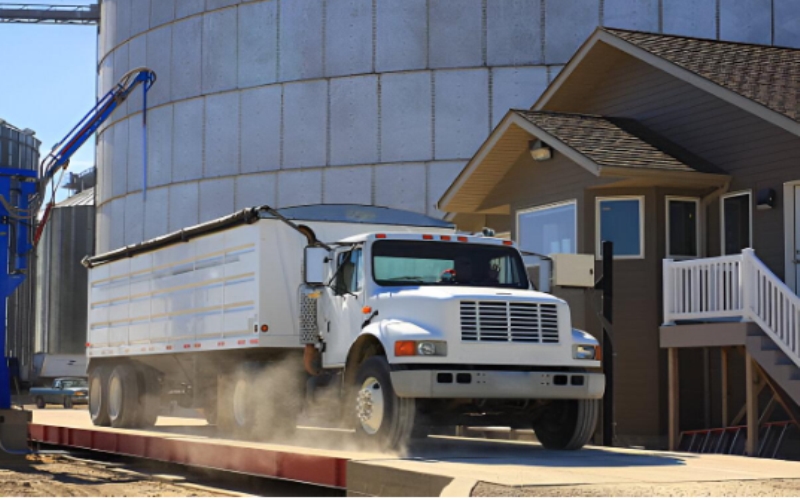 All You Need to Know About WinWeigh