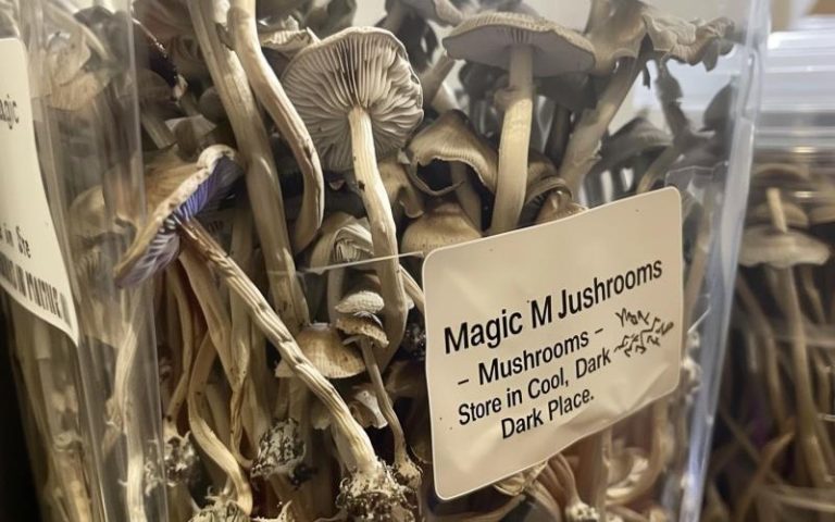Do Magic Mushrooms Expire? Expert Tips On Storage And Shelf Life